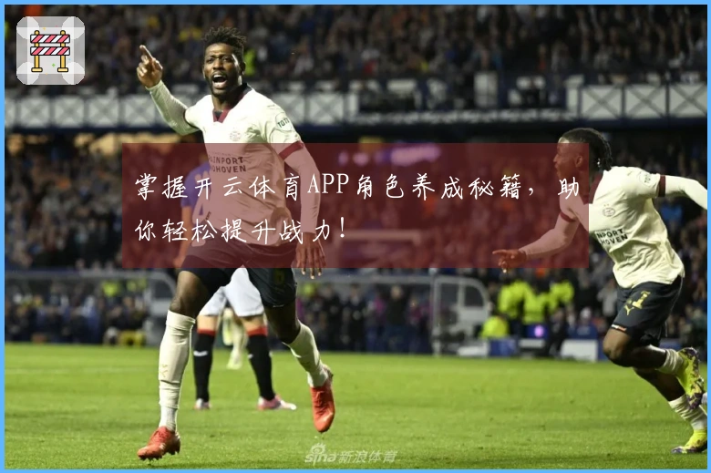 掌握开云体育APP角色养成秘籍，助你轻松提升战力！
